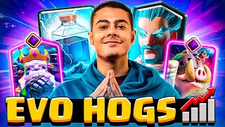 Celebrity Best Evo Hogs Deck to Push Ladder 🐷 Net Worth