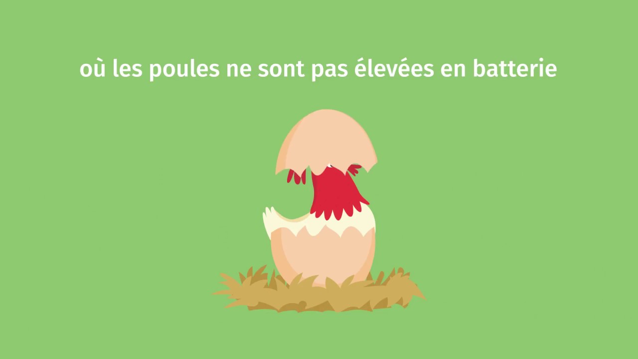 Île aux fruits - Amiens