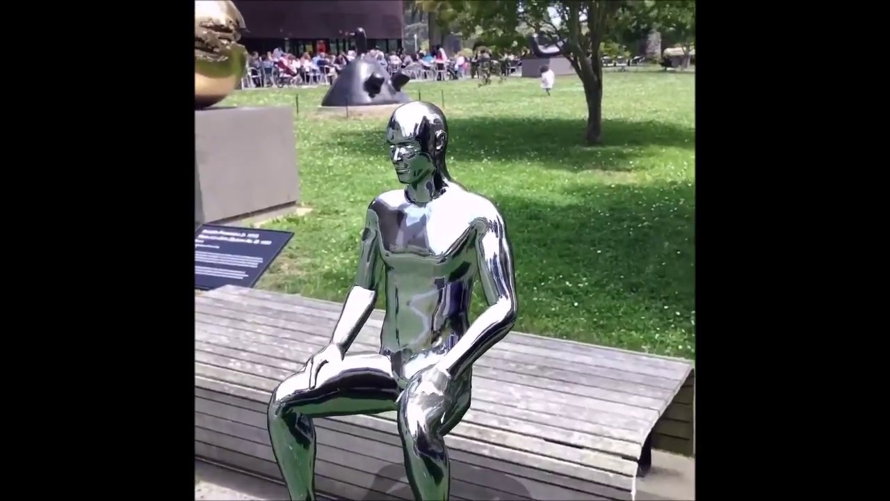 experimental adventurer augment Silver surfer and Ducks