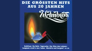 Der Sinn des Lebens (Live vom Rock On The Rocks, Kitzsteinhorn / 1985)