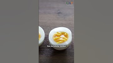 Thumbnail of REBUS TELUR JANGAN KELAMAAN #shorts  #peternakanayam #chickenfarm #telurayam #telurrebus #tipssehat