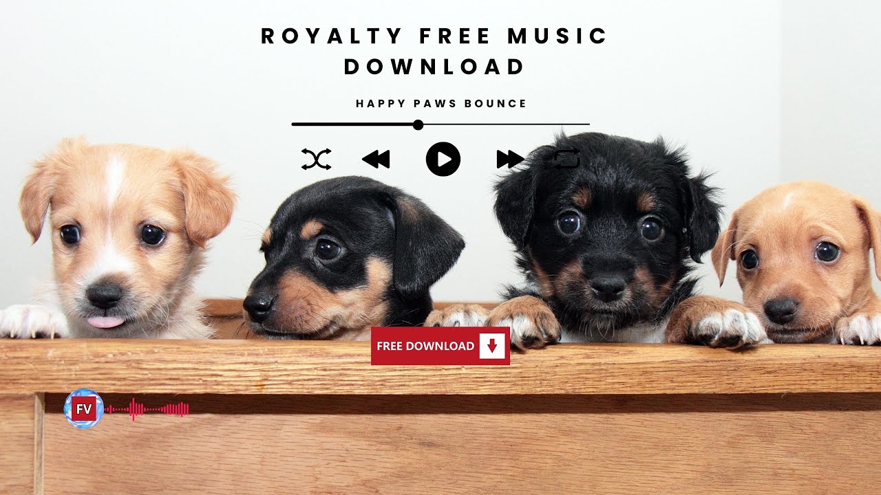 Happy Paws Bounce | Royalty Free Music Free Download (Copyright Free)