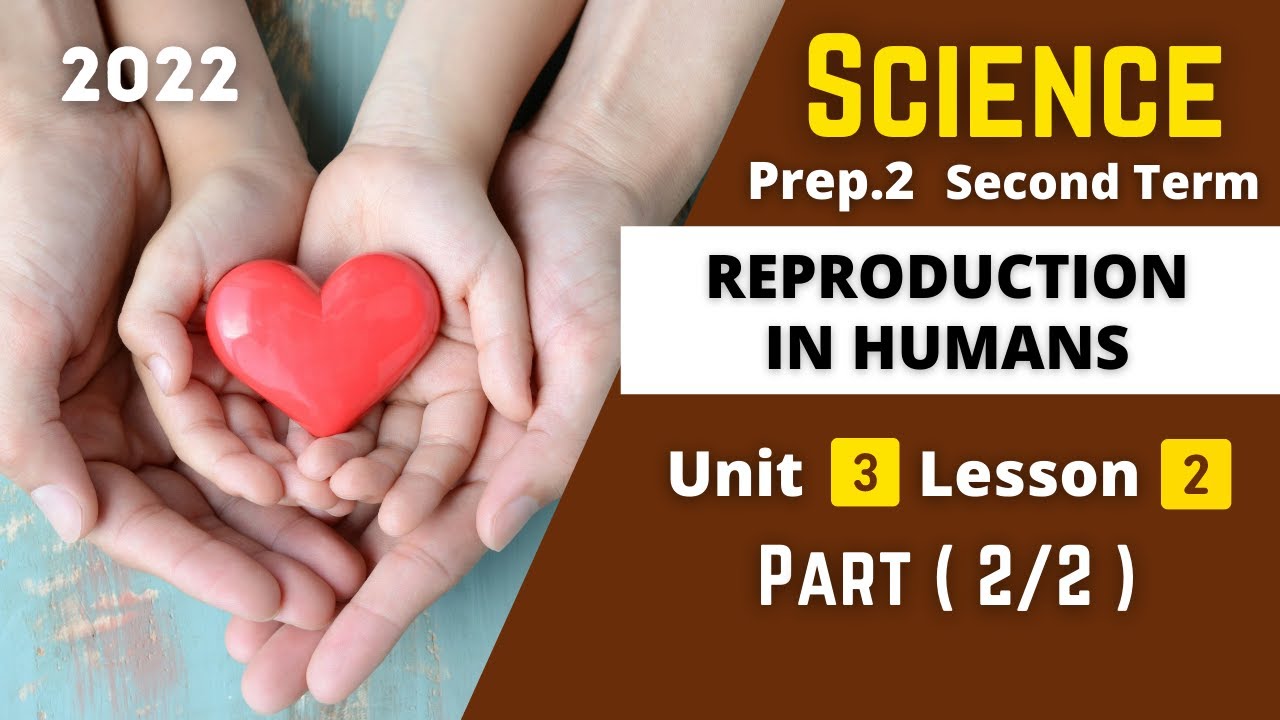 SCIENCE | Prep.2 | Reproduction in Humans #2 | Unit 3 - Lesson 2 - YouTube
