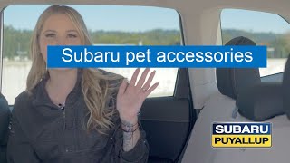 Pet Accessories with Sam  How to Install Padded Seat Protectors