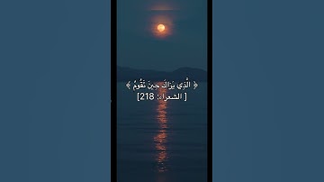 تلاوة الشيخ بدر التركي 🤍 #قرآن #تلاوة_خاشعة #راحة_نفسية