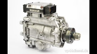 :  vp44     PSG16  6