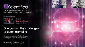 Overcoming the Challenges of Patch Clamping: Webinar with Scientifica