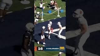 What A Catch 🫢 #idahostate #bengals #ncaa #fcs #collegefootball #highlight #catch #touchdown