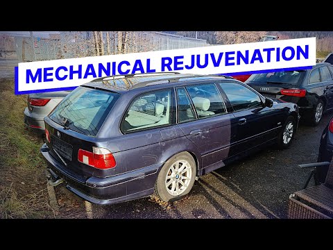 How Much Work Can a Neglected BMW Need? – E39 530i Touring – Project Rottweil: P2