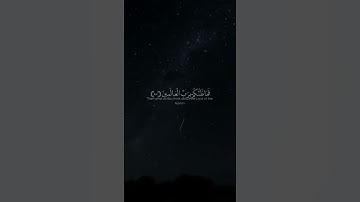 فما ظنكم برب العالمين /القارئ يحيى صلاقي