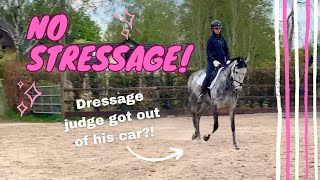 NO 'STRESSAGE'! dressage training, whole new feeding routine, she's too downhill?!