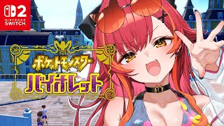 猫汰つなの配信のサムネイル画像