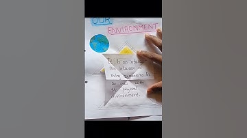 OUR Environment | Biology | Art Integrated Project | Class 10th