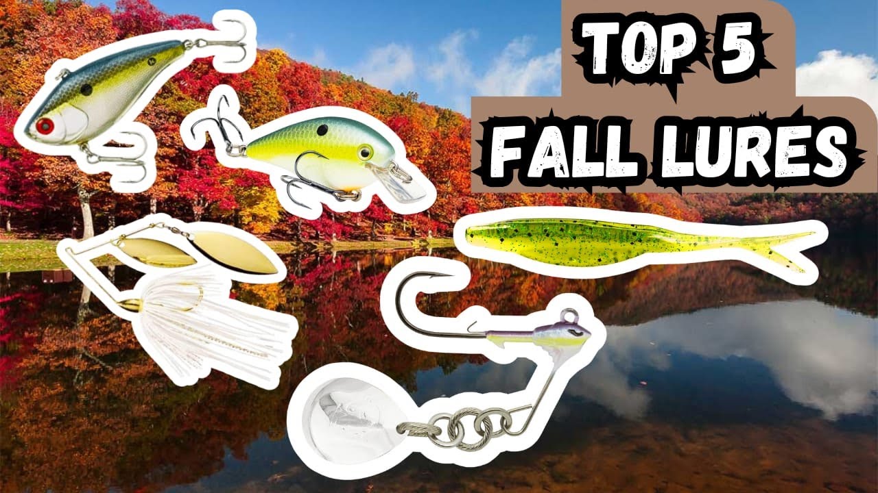 Top 5 Best Fall Bass Lures! #bassfishing #fishing #fall #fish #viralvideo #viral #funny #memes