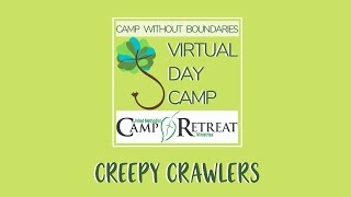 Learn About Creepy Crawlers with Camp Don Lee Coastal Staff