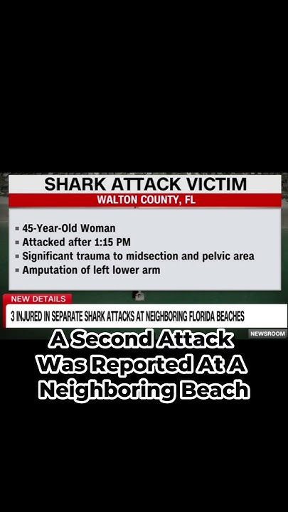 Breaking News, Shark Attack!!! #sharkattack #shark #florida #destin #