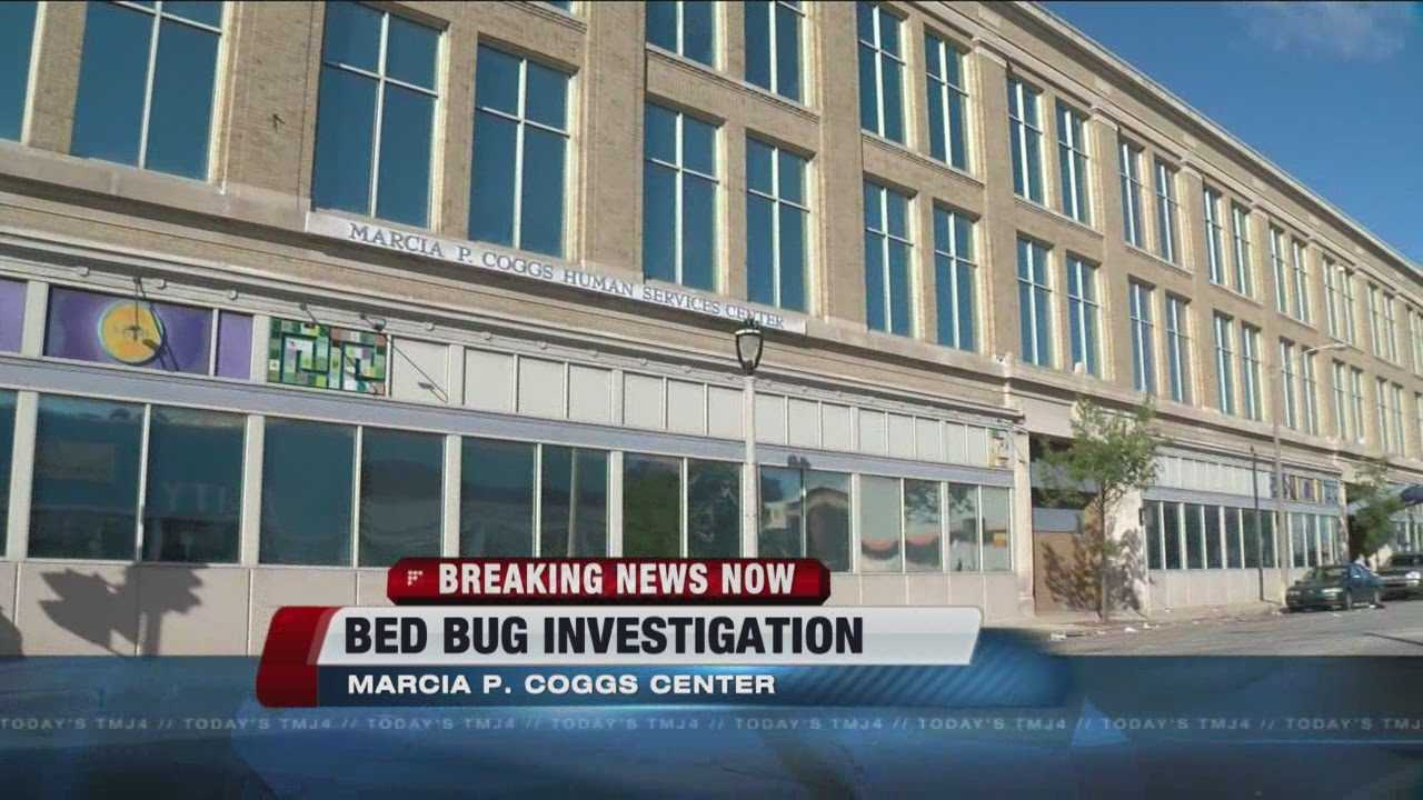DNS investigating compaint of 'bed bug outbreak' at Coggs Center
