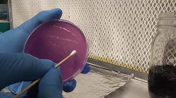 3 ways to use a swab