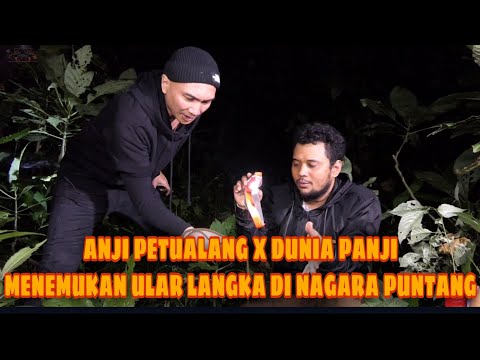 Video: Apa itu tanda berbentuk panji?