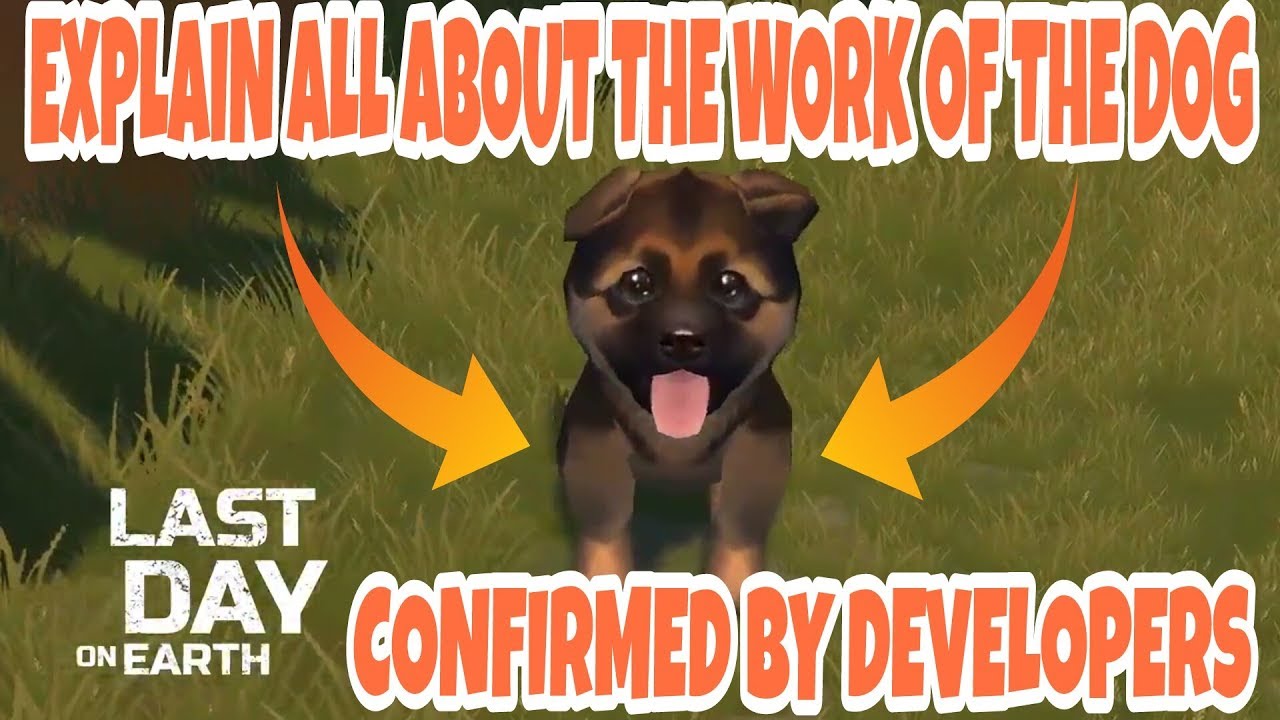 Explain All About The Work Of The Dog And How The Dog Will Work In The Game LDoE Hindi YouTube