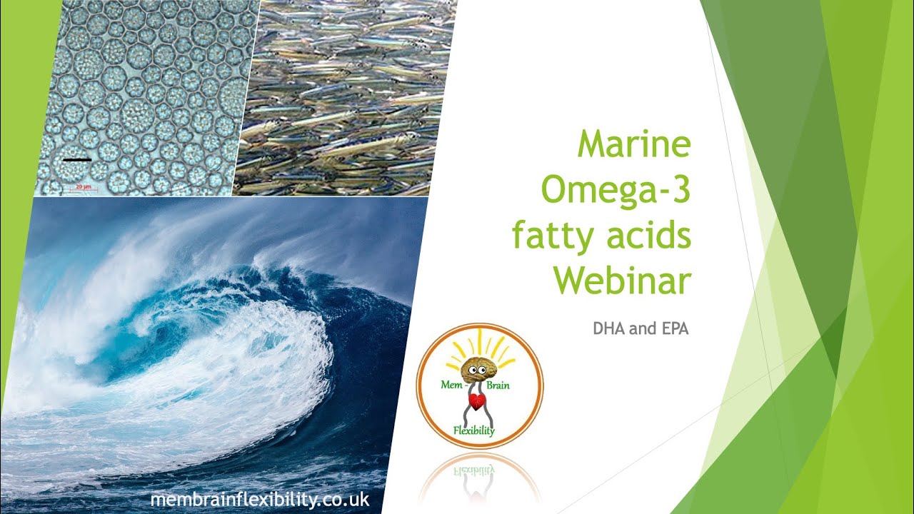 Marine Omega-3 Webinar