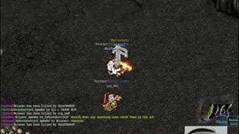 Conquer Online Botter