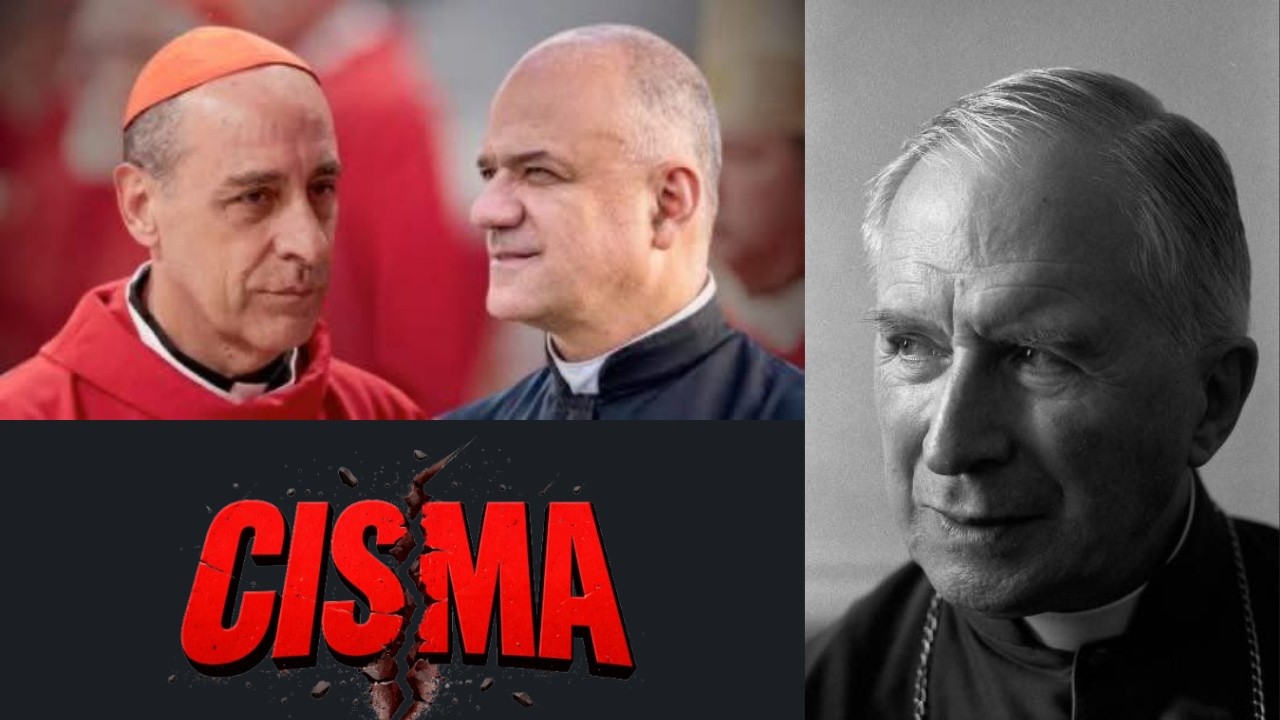 FSSPX versus TUCHO e LEÃO XIV: Mons. VIGANÒ declara sua DOR e INDIGNAÇÃO e recorda Mons. LEFÈBVRE