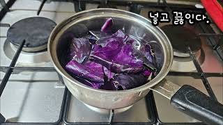 양배추지시약으로 주변물질 pH 측정하기