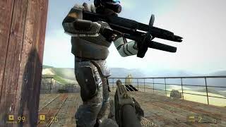 Half life 2 stealth kill