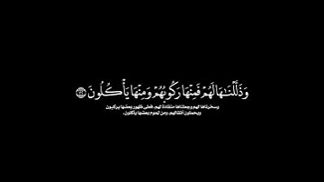 أولم يروا أنّا خلقنا لهم مما عملت أيدينا أنعاما فهم لها مالكون| كروما قران سورة يس القارئ محمد الحسن