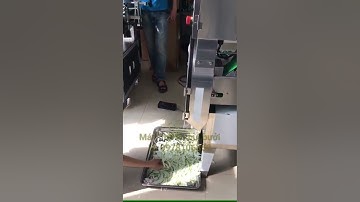 Máy thái lát cùi bưởi, máy thái lát bưởi, máy thái lát siêu mỏng Sh125, máy cắt củ quả sấy khô