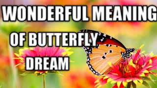 Butterfly dream meaning #dreamaboutburterfly
