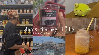 Days in my life as an Introvert in Nigeria || living alone diaries || vlog 🍃