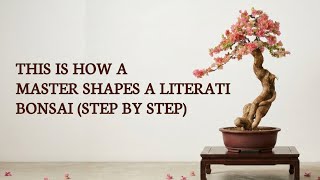 This Is How a Master Shapes a Literati Bonsai (Step by Step)