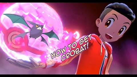 Where To Get CROBAT Hidden Ability Or Not - Pokemon Sword and Shield