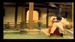 AMRS kung fu zombie