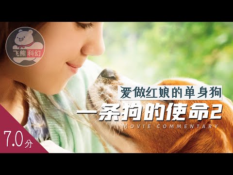 女孩喜欢上了中国男人，小狗做起了红娘，只因为前世中主人的一句嘱托！速看温情电影《一条狗的使命2》