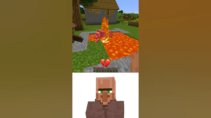(Revenge For My Dog 🐶) Minecraft Villager Ei Ei Ei Meme #minecraft #memes #funny #fyp