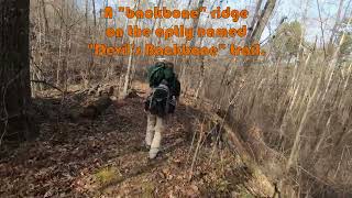 Hiking the Ft. Henry Trail system - Land Between the lakes