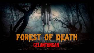 HUTAN TEMPAT GANTUN9 D!R! COLABORASI