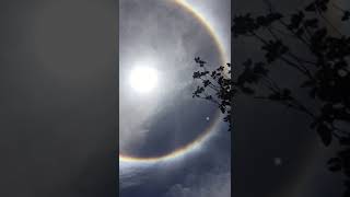 VID 20200413 WA0066