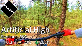 Artificial High - Beacon Hill - Spokane, WA