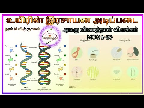 தரம் 10 விஞ்ஞானம் | அலகு~1 உயிரின் இரசாயன அடிப்படை | அலகு வினாத்தாள் விளக்கம் | வினா இலக்கம் 1~20