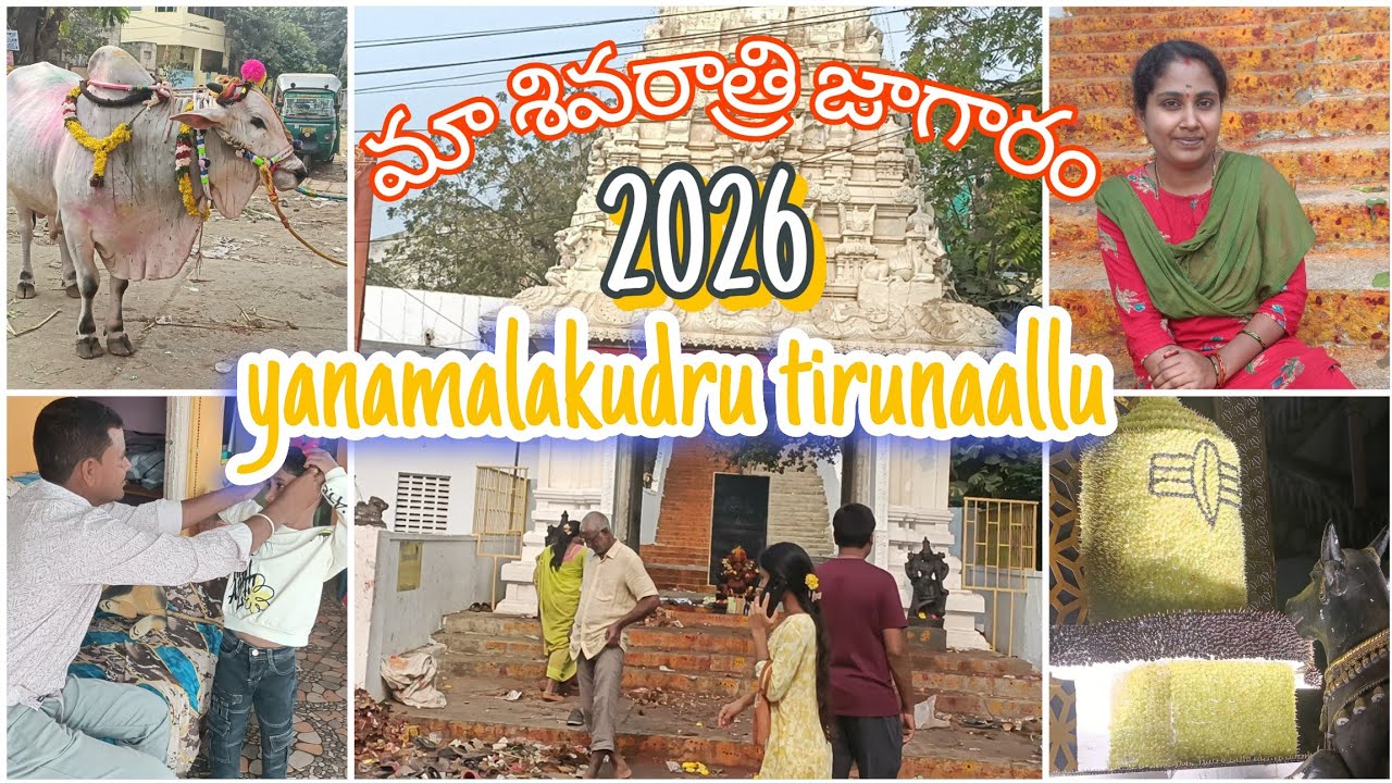 మా శివరాత్రి జాగారం 🙏విజయవాడ 2026||yanmalakuru తిరునాళ్లు ☺️