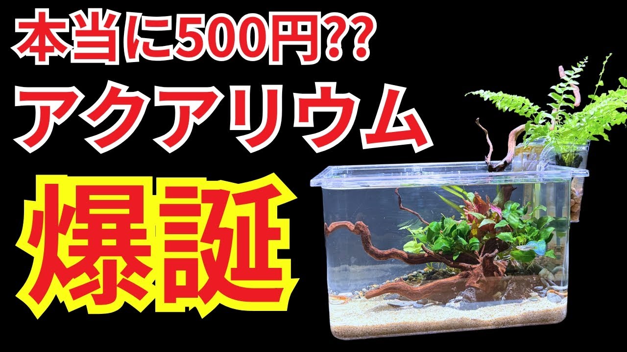 Surprising] I turned a 100 yen store breeding case into a full