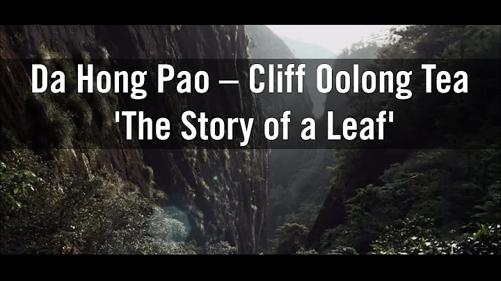 Da Hong Pao – Wuyi Rock Oolong Tea. 'The Story of a Leaf' - DayDayNews
