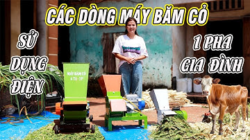 TOP 3 Máy Băm Cỏ 1 Pha " GIÁ RẺ " - Bán Chạy Nhất Dành Cho Hộ Chăn Nuôi Gia Đình Bình Quân
