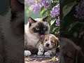 Дружба, которую никто не ожидал