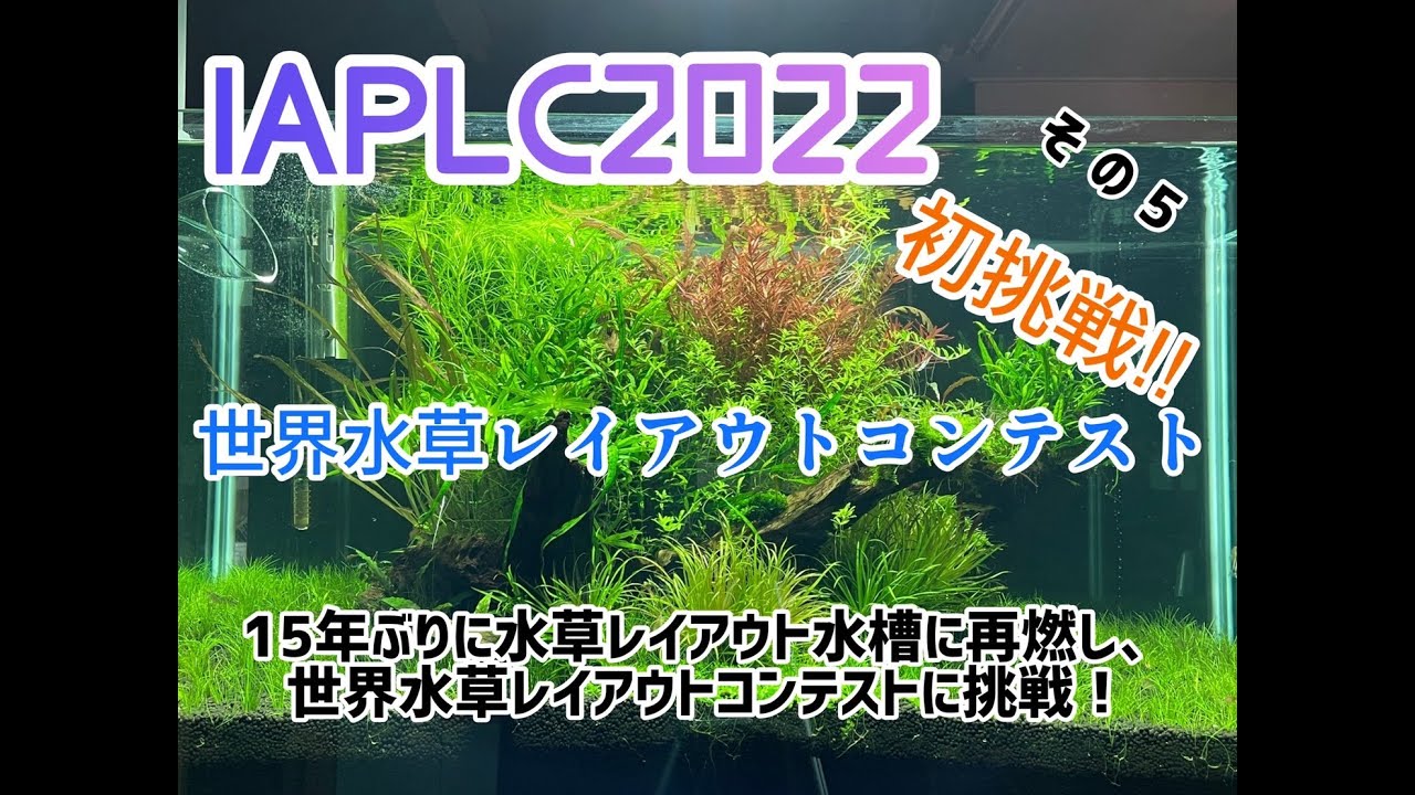 世界水草レイアウトコンテスト Iaplc 22 初挑戦の水槽立上げ その5 Youtube