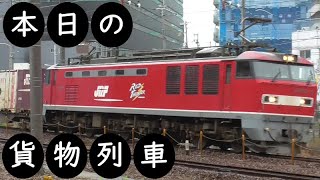 【本日の貨物列車】No.349 2021,7,1 第1086番列車 Today‘s freight train